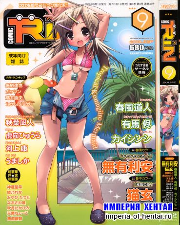 COMIC RiN [2008-09] Vol.45 