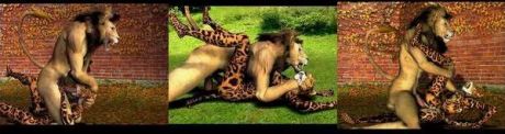 lion&cheetah