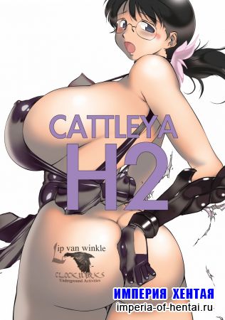  Cattleya H2