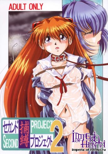 [Thirty Saver Street 2D Shooting (Maki Hideto, Sawara Kazumitsu)] Second Hobaku Project 2 (Neon Genesis Evangelion) [Digital]