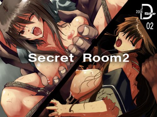 [D-site] Secret room 2