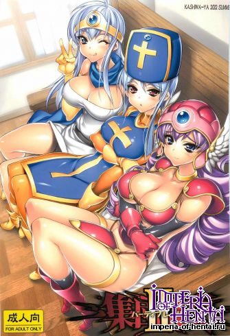 (C82) [Kashiwa-ya (Hiyo Hiyo)] Shuudan Rankou Party Play!!-II (Dragon Quest III)