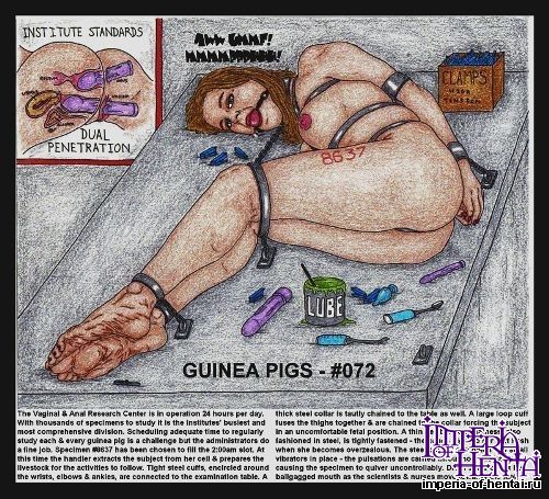 Taurus GUINEA PIGS 6