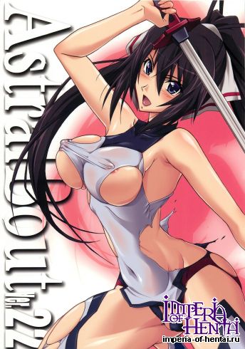 (C81) [STUDIO TRIUMPH (Mutou Keiji)] Astral Bout Ver.22 (Infinite Stratos)