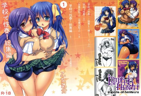 (C82) [Otomekibun (Sansyoku Amido.)] Gakkou de Seishun! Soushuuhen 1 (Original)