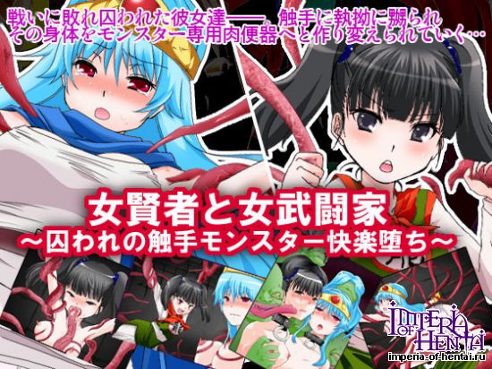 女賢者と女武闘家～囚われの触手モンスタ