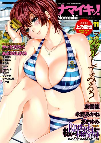COMIC Namaiki! 2011-11 [Digital]
