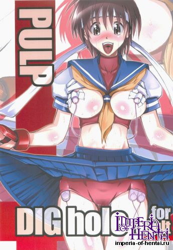 (C83) [prettydolls (Araki Hiroaki)] PULP DIG hole (Street Fighter)