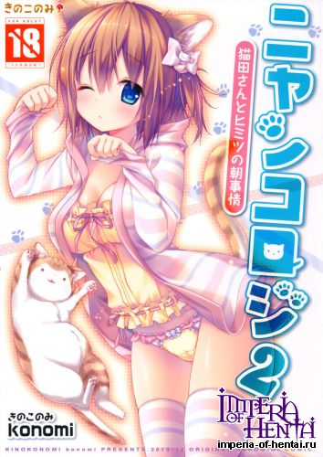 (C85) [KINOKONOMI (konomi)] Nyankoroji 2 -Nekota-San To Himitu No Asa zizyou- (Original)