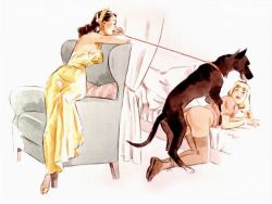 The Enema Digest  Volume  Seven