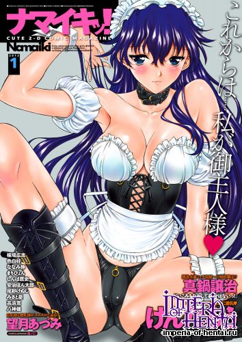 COMIC Namaiki! 2013-01 [Digital]
