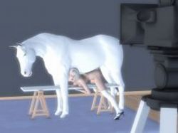 3D House Wafe s Journey