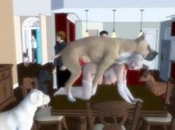 3D House Wafe s Journey