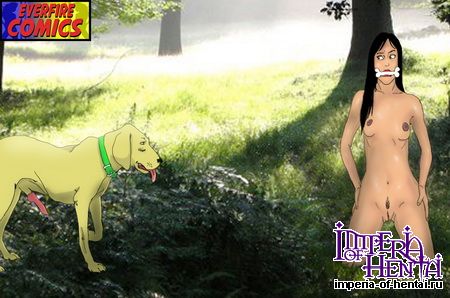 Becoming A Dog Lover