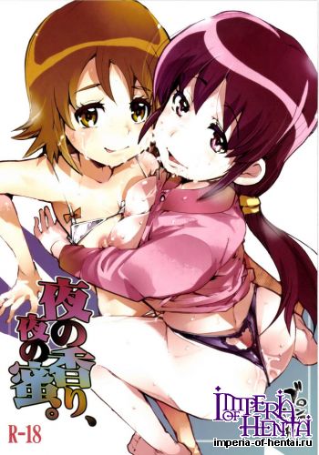 [Bronco Hitoritabi (Uchi-Uchi Keyaki)] Yoru no Kaori, Yoru no Mitsu. (HappinessCharge Precure!) [Digital]