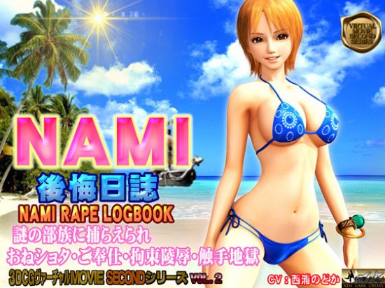 NAMI RAPE LOGBOOK
