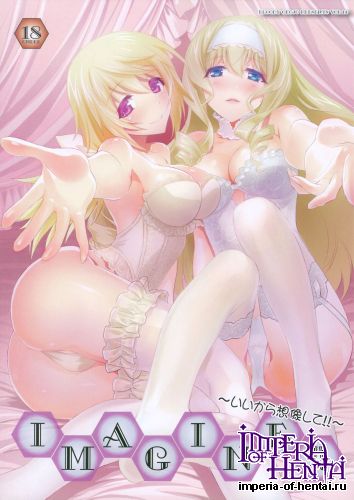 (COMIC1☆8) [Bloody Okojo (Akutagawa Manbou)] IMAGINE!! ~Iikara Souzou Shite!!~ (Infinite Stratos)