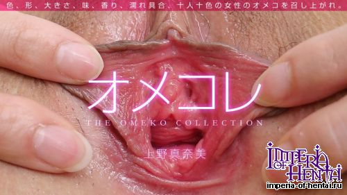 1pondo.tv - Ueno Manami - The Omeko Collection (080814 001) [HD 720p]