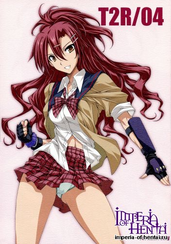 (C86) [BRIEST (Yatsushima Tetsuya)] T2R/04 (Akuma no Riddle)