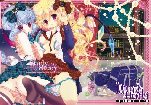 (Reitaisai 10) [Setoran (Itouseto,Tannoran)] Study Study (Touhou Project)