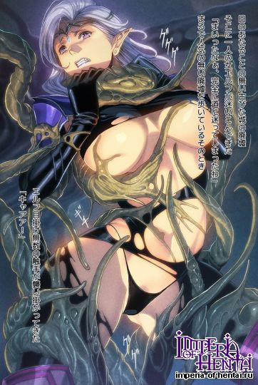 (同人CG集) [FOOL´s ART GALLERY] 触手祭!