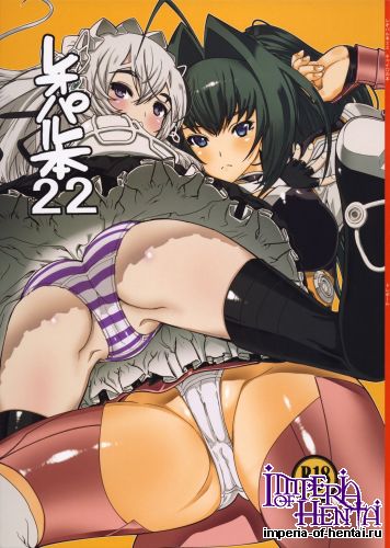 (C86) [Dorepooru (Leopard)] Leopard Hon 22 (Hitsugi no Chaika)