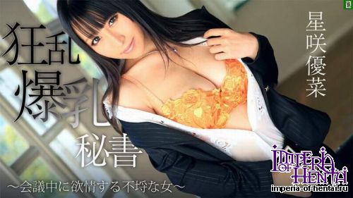 Heyzo.com - Yuna Hoshizaki - Horny Secretary in a Meeting (0746) [FullHD 1080p]