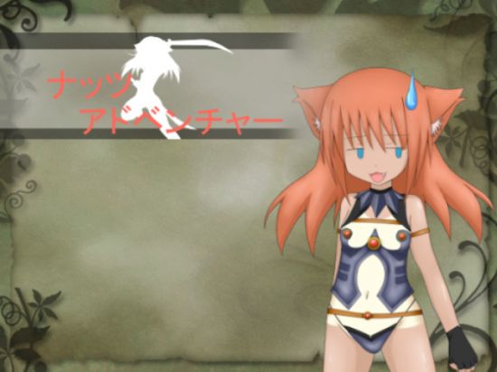 Natsu Adventure Ver.3.01