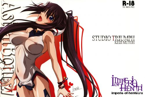 (C85) [STUDIO TRIUMPH (Mutou Keiji)] Astral Bout Ver.27 (Infinite Stratos)