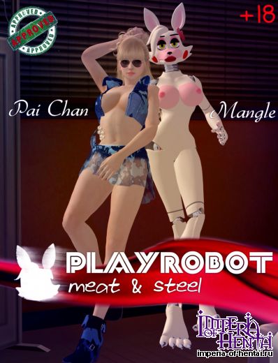 PLAYROBOT  Meat&Steel