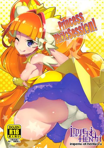 (COMIC1☆9) [Miyanchi (Miyagoe Yoshitsuki)] Princess Photo Session! (Go! Princess PreCure)