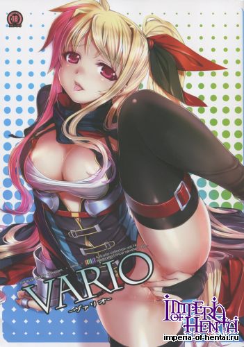 (C85) [TRI-MOON! (Mikazuki Akira!)] vario (Mahou Shoujo Lyrical Nanoha)