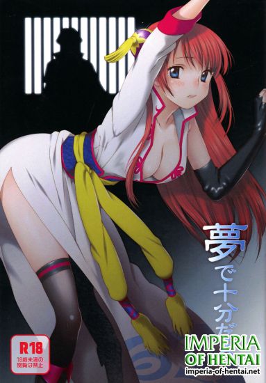 (Kabukichou Daishuukai) [S-FLAKE (Yukimitsu)] Yume de Juubundaro (Gintama)