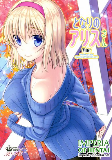(C89) [Iiwake-Gaisya (Shigemiya Kyouhei)] Tonari no Alice-san Fuyu (Touhou Project)