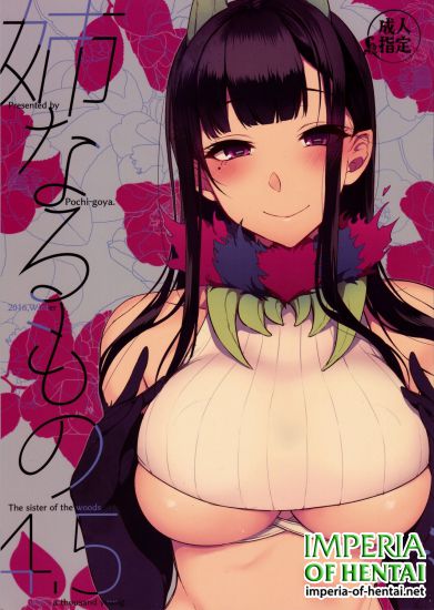 (C91) [Pochi-Goya. (Pochi.)] Ane Naru Mono 4.5 (Ane Naru Mono)